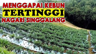 Jadi Petani Sukses Disini Berat..! Kamu Gak Akan Kuat..!