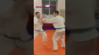 Aikido demonstration