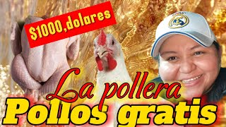 La Pollera Regalara pollos gratis este 28 noviembre