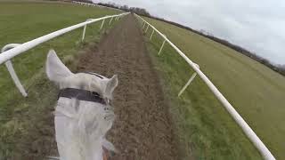 On board a racehorse called Rocky