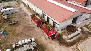 Paardenmest ophalen met Walkro uit Maasmechelen  | Volvo | walkro | paardenmest |