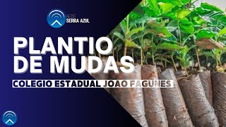 ALUNOS REALIZAM PLANTIO DE MUDAS DO CERRADO