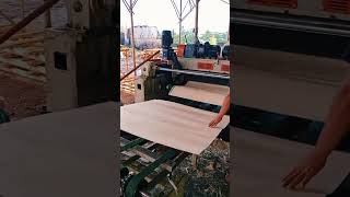 Rotary plywood spindleless 5 ft proses core sengon 4x4 #rotarypeeling #plywoodmachinery #veneercore