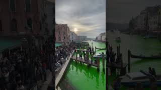 Venice’s Grand Canal Water goes bright green 😱#shorts #short