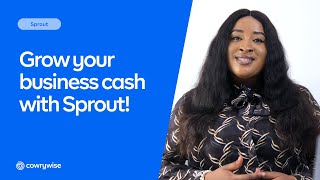 Treasury Management for Businesses – Introducing Cowrywise Sprout 🌱 | Invest your Idle Business Cash