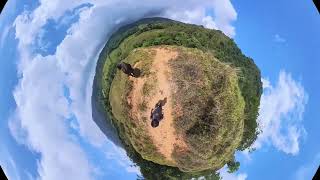 La vaca 360 #insta360