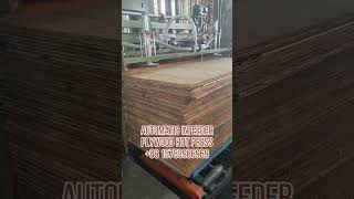 Geelong-Automatic plywood hot press machine