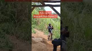 Ada ada gajah #gancet #shortvideos #travel