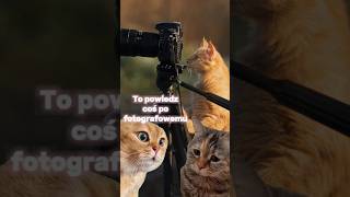 Powiedz coś po fotografowemu... (w komentarzach 😉) #memes #fotografia