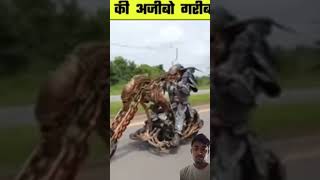 Duniya ke sabse khatarnak bike ajibogarib bike 😯🇮🇳👿 #automobile #factsinhindi #amazing #carandbike