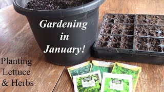 Planting in January! Lets start filling the indoor Greenhouse.