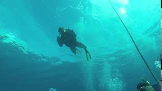 1st Diving Video