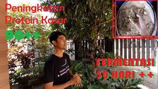 REVIEW HASIL FERMENTASI DI KANDANG LA TAHZAN FARM 30 HARI ++