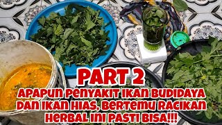 TANAMAN DIALAM DIPROSES JADI HERBAL UNTUK SEMUA JENIS PENYAKIT IKAN HIAS DAN IKAN BUDIDAYA