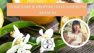 COME CREARE UN PROFUMO CON LE ESSENZE DELL'ALBERO DI ARANCIO (COLONIA ESTIVA AGRUMATA)