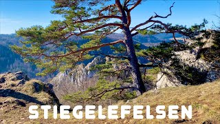 Fridingen - vom „Stiegele“ zum "Matheisakäppele" (in 4K)