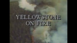 Yellowstone on Fire (1990)