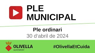 Ple ordinari del 30 d'abril de 2024