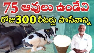 55 సంవత్సరాల అనుభవం Krishna swamy dairy farm @MalleshAdla