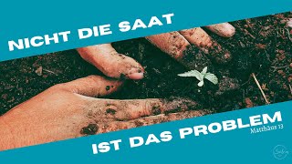 Nicht die Saat ist das Problem (Timo Schumann)