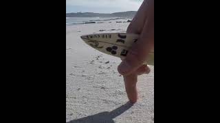 Finger Boarder #shorts #surfing #fingerboard