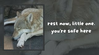 [M4A] Werewolf Finds You Hurt and Treats Your Wounds [Fantasy ASMR] [I'm Proud of You] [M4F] [M4M]