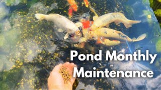 Cleaning my suction grid l Koi Pond Monthly maintenance