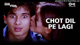 Chot Dil Pe Lagi Full Video - Ishq Vishk | Shahid & Shehnaz | Alisha & Kumar