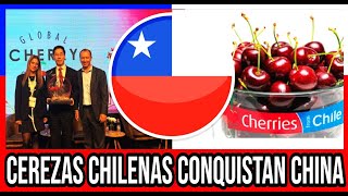 Embajador de China en Chile ELOGIA Cerezas Chilenas 🇨🇱 #Chile #Valparaiso #ViñaDelMar #BioBio #CL