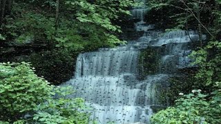 🌧️ rainy day Gloomy SOLO Camping in RAIN and THUNDER [ relaxing in a cosy shelter by the Creek,