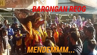 BARONGAN VERSI REOG - Seni Kuda Lumping Jawa Tengah