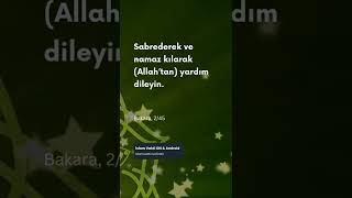 Sabrederek ve namaz kılarak Allah'tan yardım dileyin. #shorts #bakara #kuran