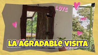 La agradable visita de dos pajaritos