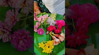 #shorts తోటలో రంగు రంగుల పూల హరివిల్లు #Beautiful flowers #viralshorts #colour full flowers#Amazing