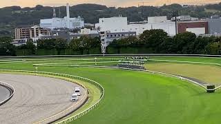 【観客目線・ほぼ無観客】第162回 天皇賞（秋）勝ち馬アーモンドアイ 2020.11.1