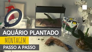 Como Montar um Aquário Plantado Passo a Passo - VLOG Turbinado