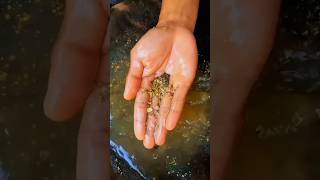 Ep: 11 panning of gold nugget in river