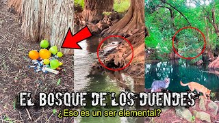 Se Metió en el BOSQUE de los DUENDES sin saber y ELLOS le PUSIERON UNA TRAMPA