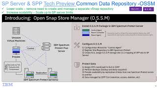 IBM Spectrum Protect and Plus OSSM in the SP OC and CLI – Demo