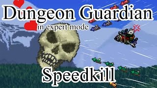 Terraria - Expert Dungeon Guardian Speedkill in 8 seconds