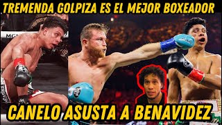 CANELO vs JAIME MUNGUIA |RESUMEN| el  MEJOR BOXEADOR MEXICANO lo RETO y DAVID BENAVIDEZ se ASUSTO