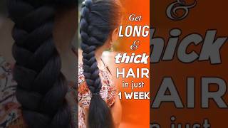 Long &Thick Hair Care Tips..#risebeauty #shorts#shortsvideo