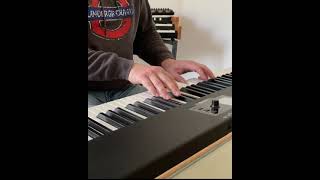 Pyramid song - Radiohead piano cover with Native Instruments Noire #short