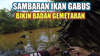 Casting Ikan Gabus Sambarannya Bikin Badan Gemetaran