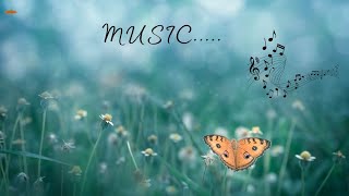 Best relaxing music for sleep | No copyright Soothing music |