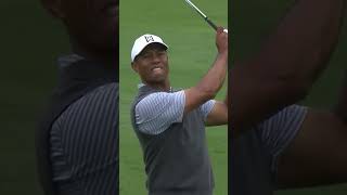 Tiger Woods’ Spectacular Hole-in-One | Perfect Golf Shot Analysis  #Golf #golfing #GolfHighlights