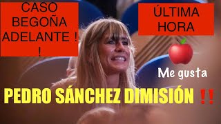 🛑ÚLTIMA HORA🛑CASO BEGOÑA GÓMEZ CONTINÚA ‼️‼️RESPALDO JUEZ PEINADO‼️PEDRO SÁNCHEZ DIMISIÓN ‼️‼️‼️