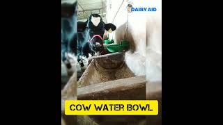 Cow/Buffalo Water Bowl