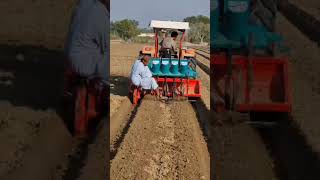 wheat cultivation on raised bed