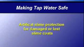 Water Tip - 5 - Making tap water Safe